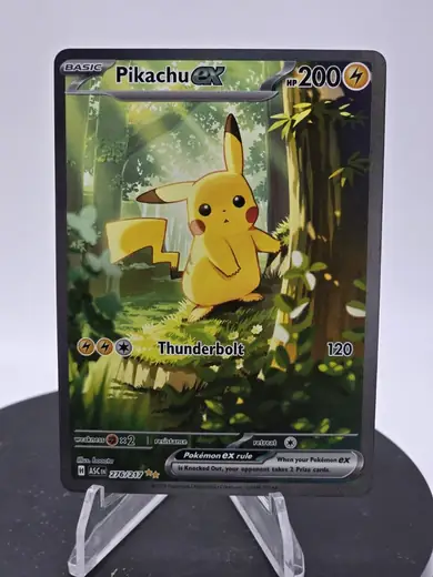 Pikachu ex Special Illustration Rare card, number 276 from Ascended Heroes, showing Pikachu in a sunlit forest